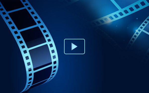 Khai giảng năm học 2025 - 2026